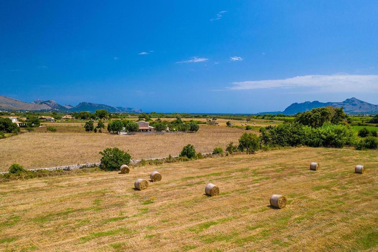 Bosque Pollença